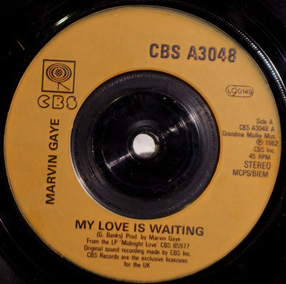 Marvin Gaye : My Love Is Waiting (7", Single, Inj)