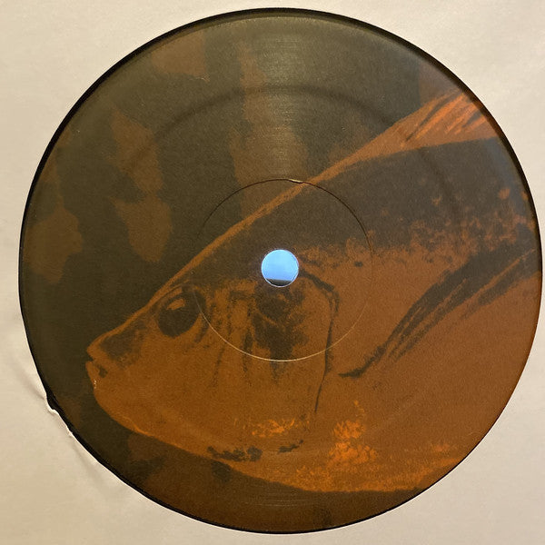 The Pharcyde : Otha Fish (12", RP)