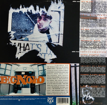 Big Noyd : Episodes Of A Hustla (LP, Album)