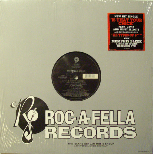 Memphis Bleek Feat. Jay-Z And Missy Elliott : Is That Your Chick (12", Single)