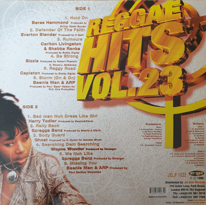 Various : Reggae Hits Vol.23 (LP, Comp)