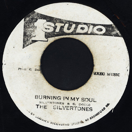 The Silvertones : Burning In My Soul (7")