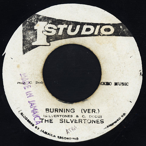 The Silvertones : Burning In My Soul (7")