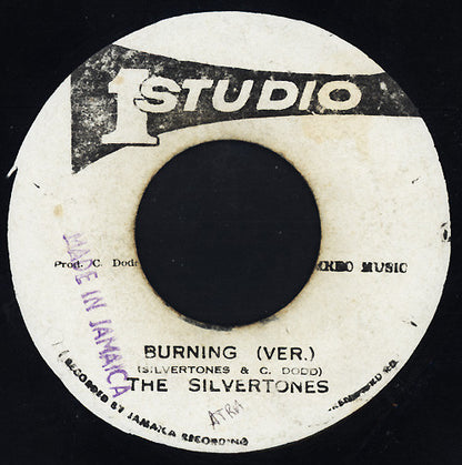 The Silvertones : Burning In My Soul (7")
