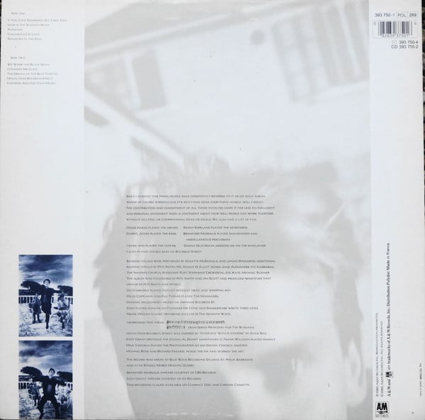 Sting : The Dream Of The Blue Turtles (LP, Album)