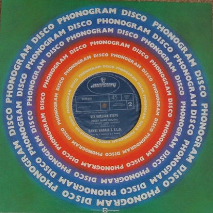 Rahni Harris & Family Love (4) : Six Million Steps (West Runs South) (12")