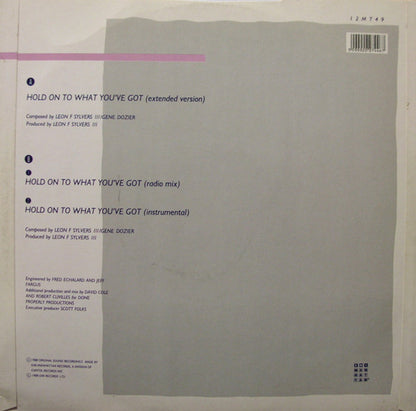Evelyn King : Hold On To What You've Got (12", Single)