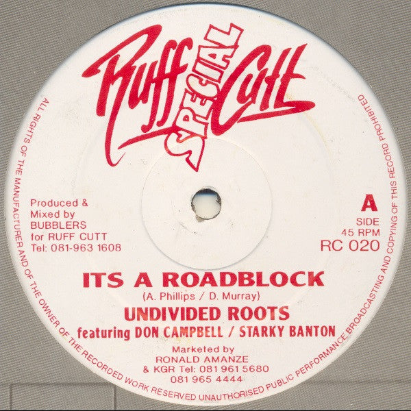 Undivided Roots : Its A Roadblock (12")