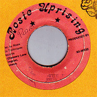 Peter Metro : The Don (7")