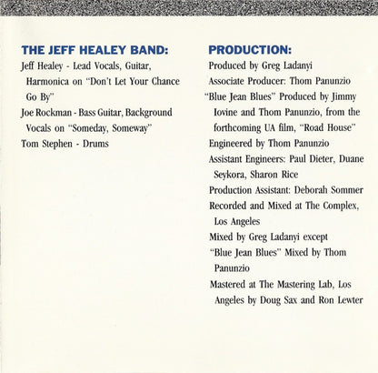 The Jeff Healey Band : See The Light (CD, Album)