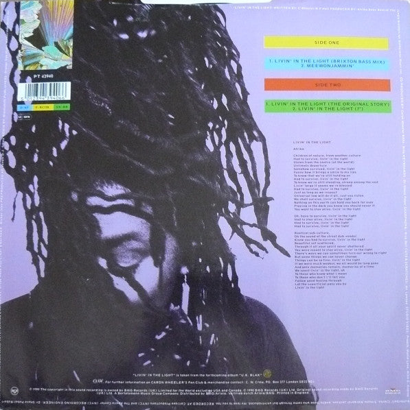 Caron Wheeler : Livin' In The Light (12")