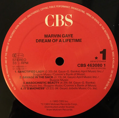 Marvin Gaye : Dream Of A Lifetime (LP, Album, RE)