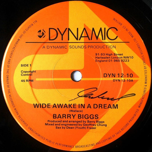 Barry Biggs : Wide Awake In A Dream (12")