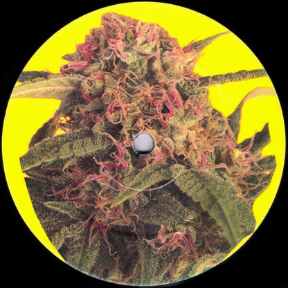 Top Star : Durban Poison EP (12", EP)