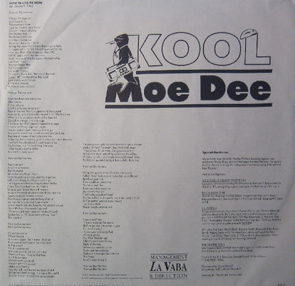Kool Moe Dee : How Ya Like Me Now (LP, Album)