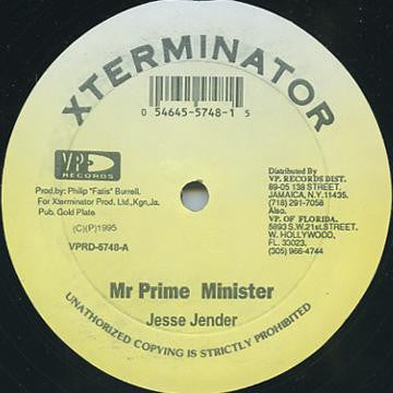 Jesse Jender / Sizzla & Shadowman* & Abiditan : Mr Prime Minister / The Gun (12")