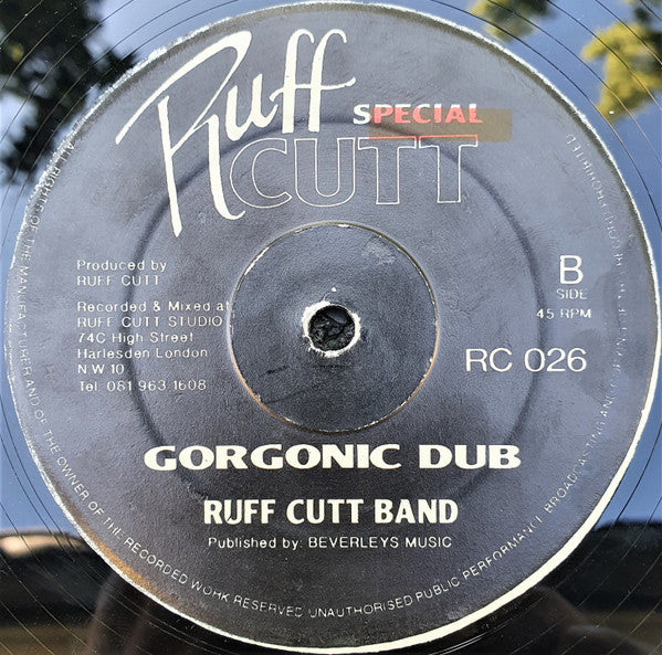 Gregory Isaacs / Undivided Roots : Party Nite (12")