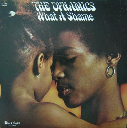 The Dynamics : What A Shame (LP, Album)