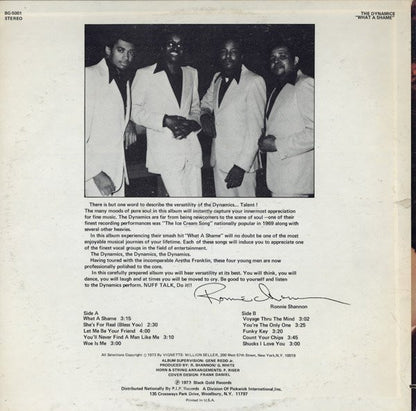 The Dynamics : What A Shame (LP, Album)