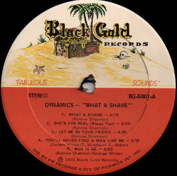 The Dynamics : What A Shame (LP, Album)