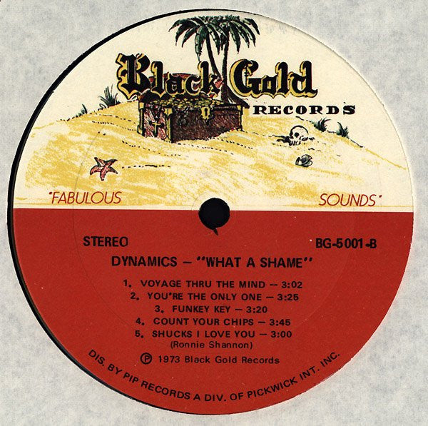 The Dynamics : What A Shame (LP, Album)