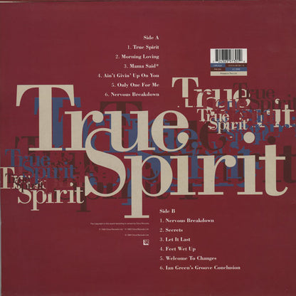Carleen Anderson : True Spirit (LP, Album)