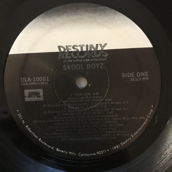 Skool Boyz : Skool Boyz (LP, Album)