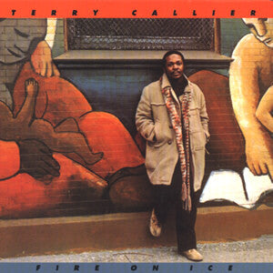 Terry Callier : Fire On Ice (LP, Album)