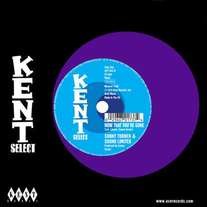 Maxine Brown / Sonny Turner (2) & Sound Limited : I Want A Guarantee / Now That You're Gone (7")