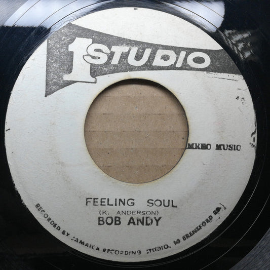 Bob Andy / Sound Dimension : Feeling Soul (7")