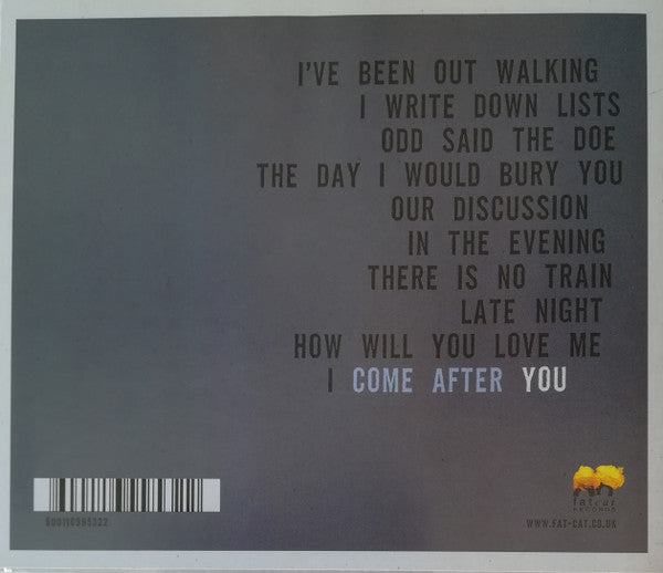 Nina Nastasia & Jim White (2) : You Follow Me (CD, Album)