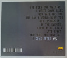 Nina Nastasia & Jim White (2) : You Follow Me (CD, Album)