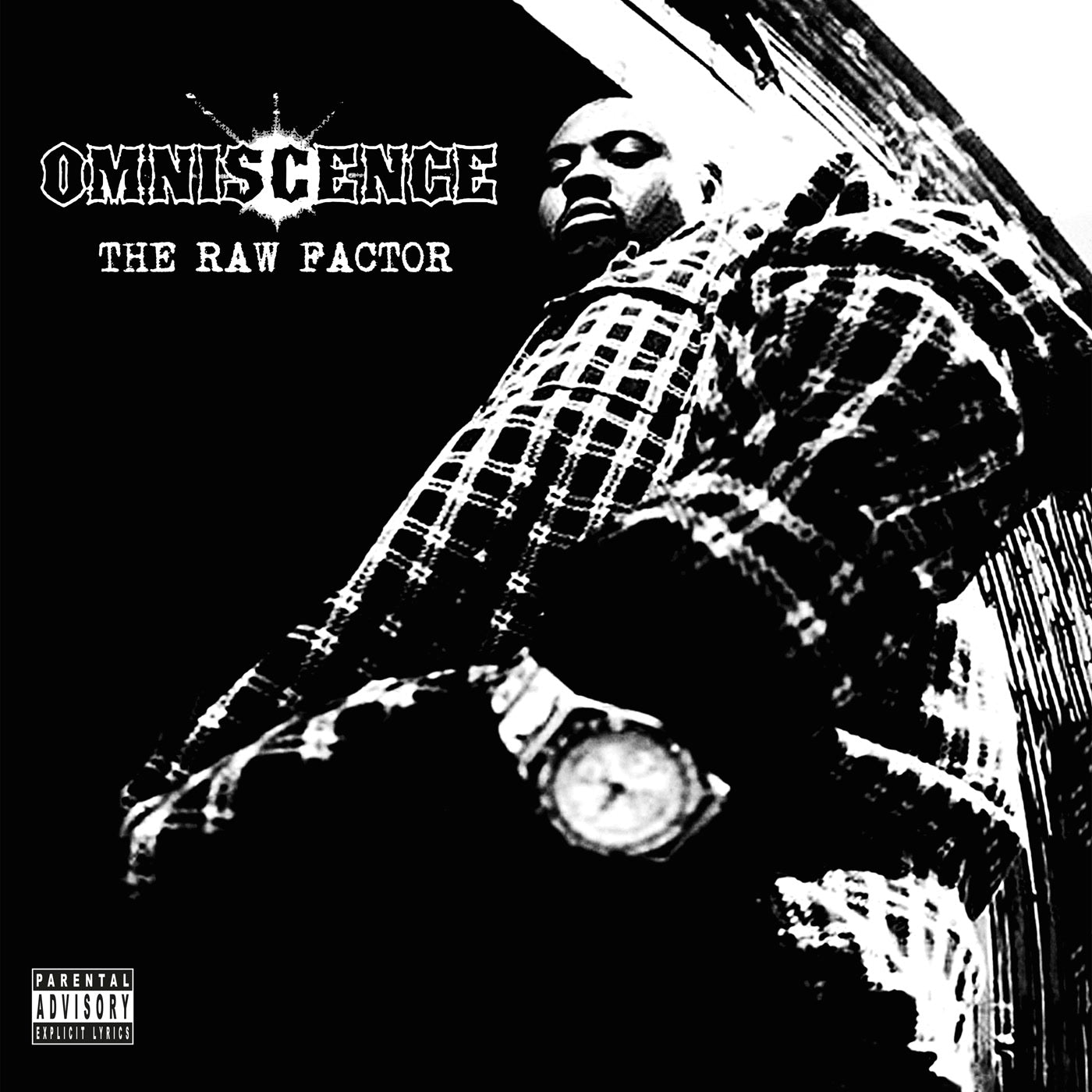 Omniscence - The Raw Factor (CD)