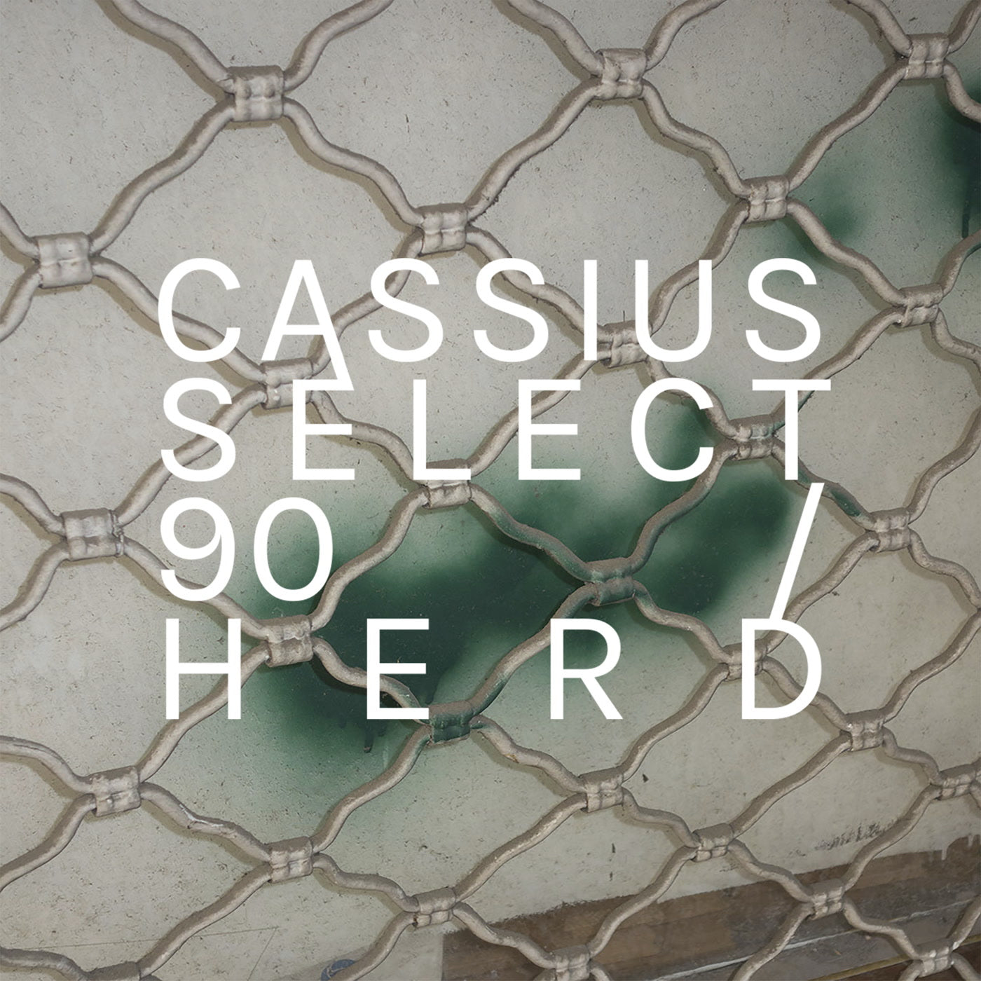 Cassius Select - 90 / Herd (12")