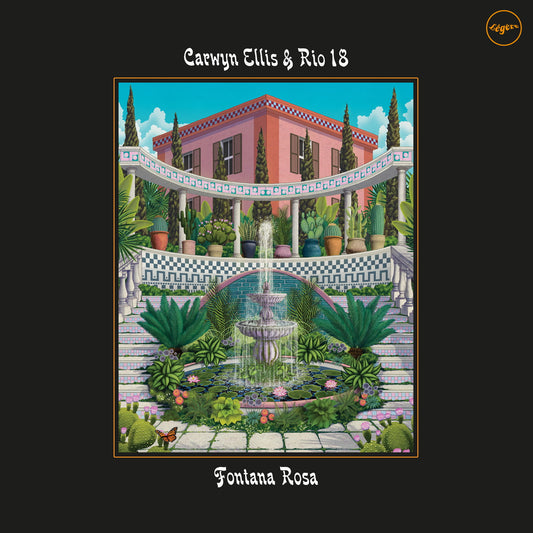 Carwyn Ellis & Rio 18 - Fontana Rosa (LP)