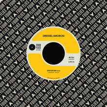 Dressel Amorosi - Synthporn / Cargo (7")