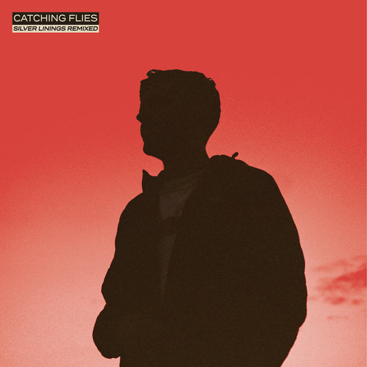 Catching Flies - Silver Linings Remixed (LP)