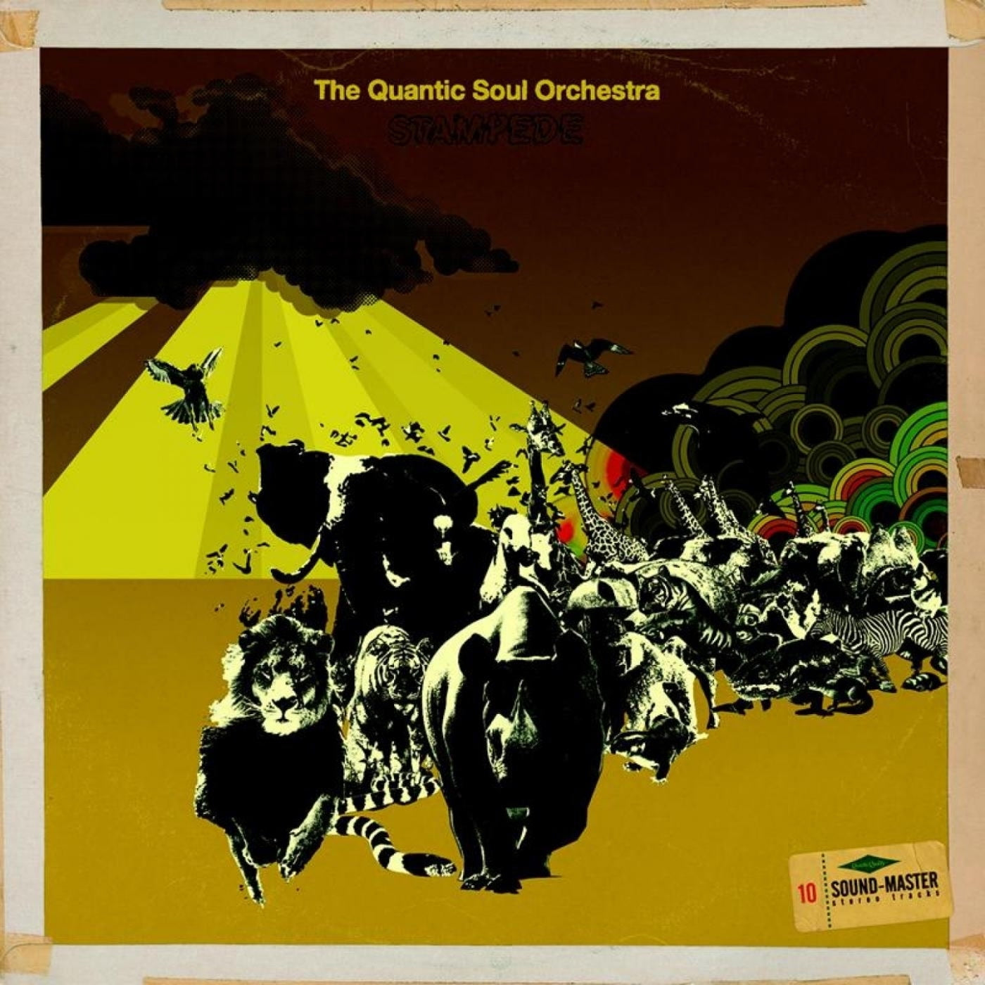 The Quantic Soul Orchestra - Stampede (CD)