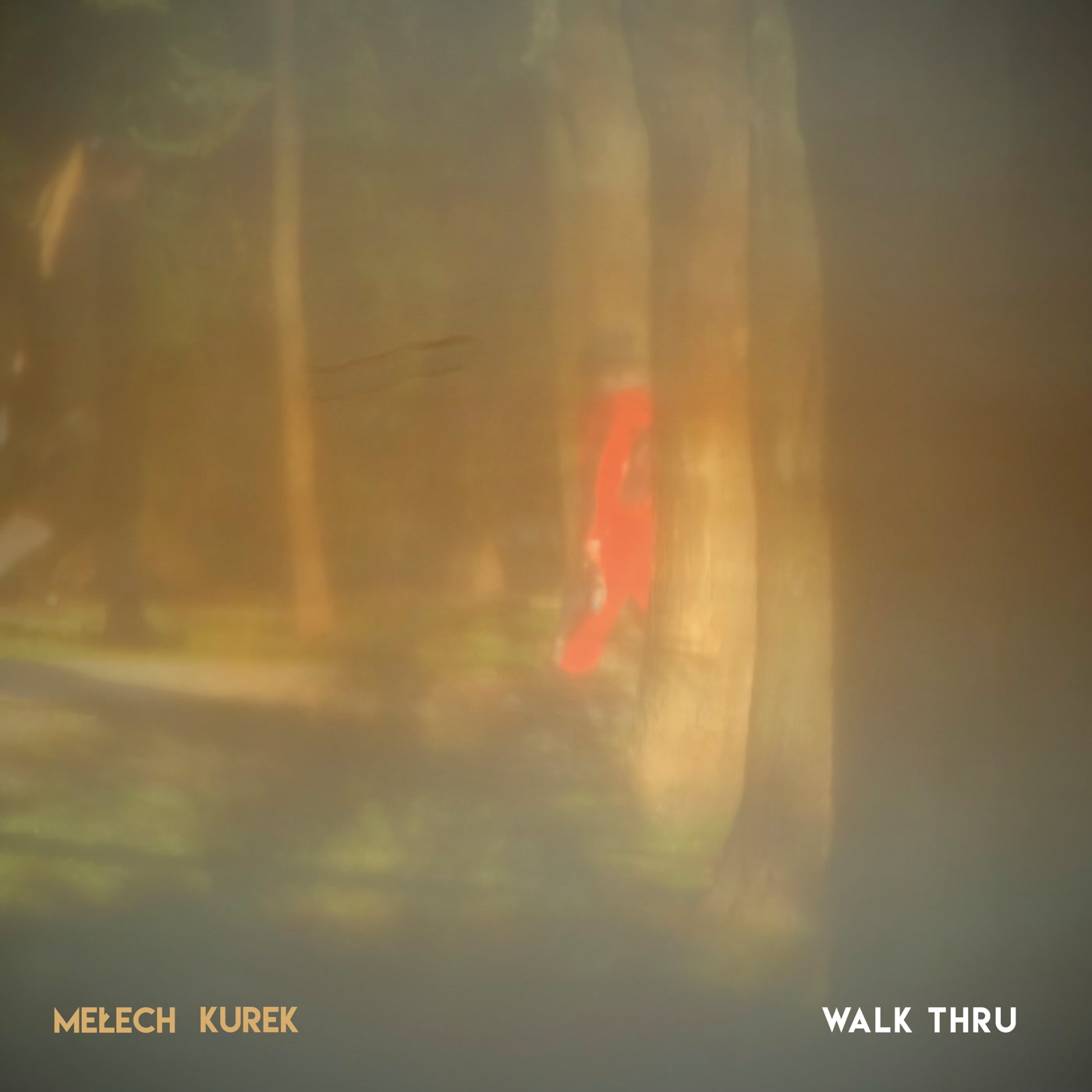 Piotr Mełech & Wojtek Kurek - Walk Thru (CD)