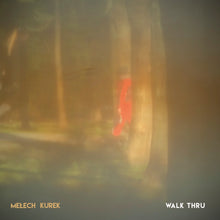 Piotr Mełech & Wojtek Kurek - Walk Thru (CD)