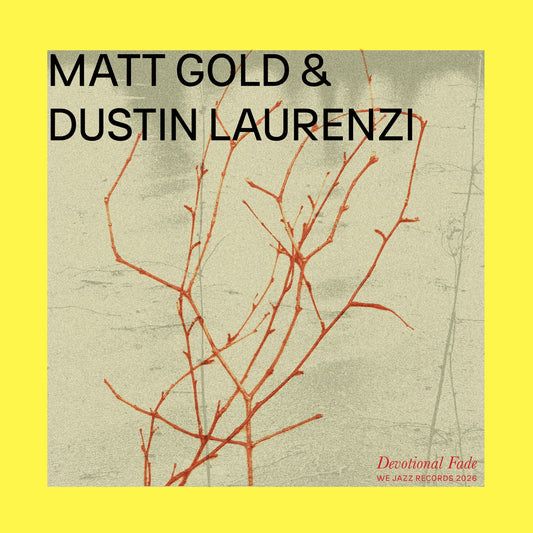 Matt Gold & Dustin Laurenzi - Devotional Fade (LP)