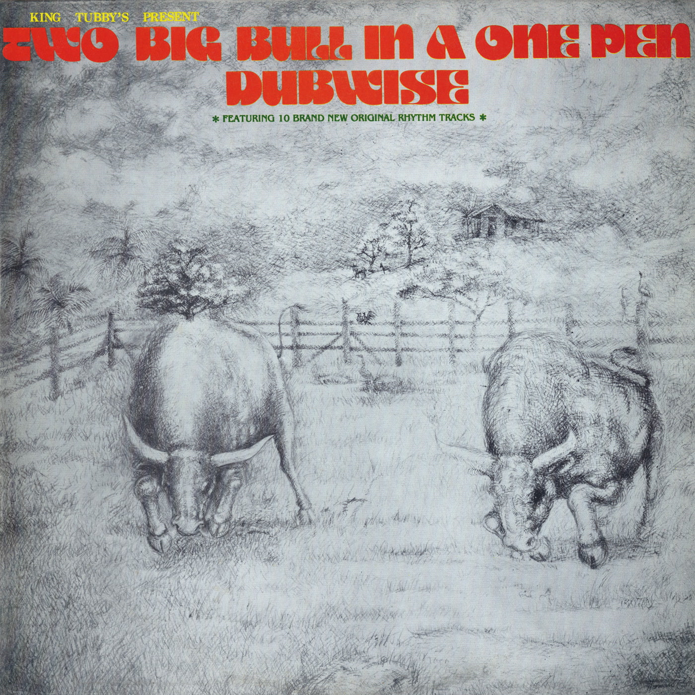 King Tubbys - Two Big Bull in a One Pen (Dubwise Versions) (CD)