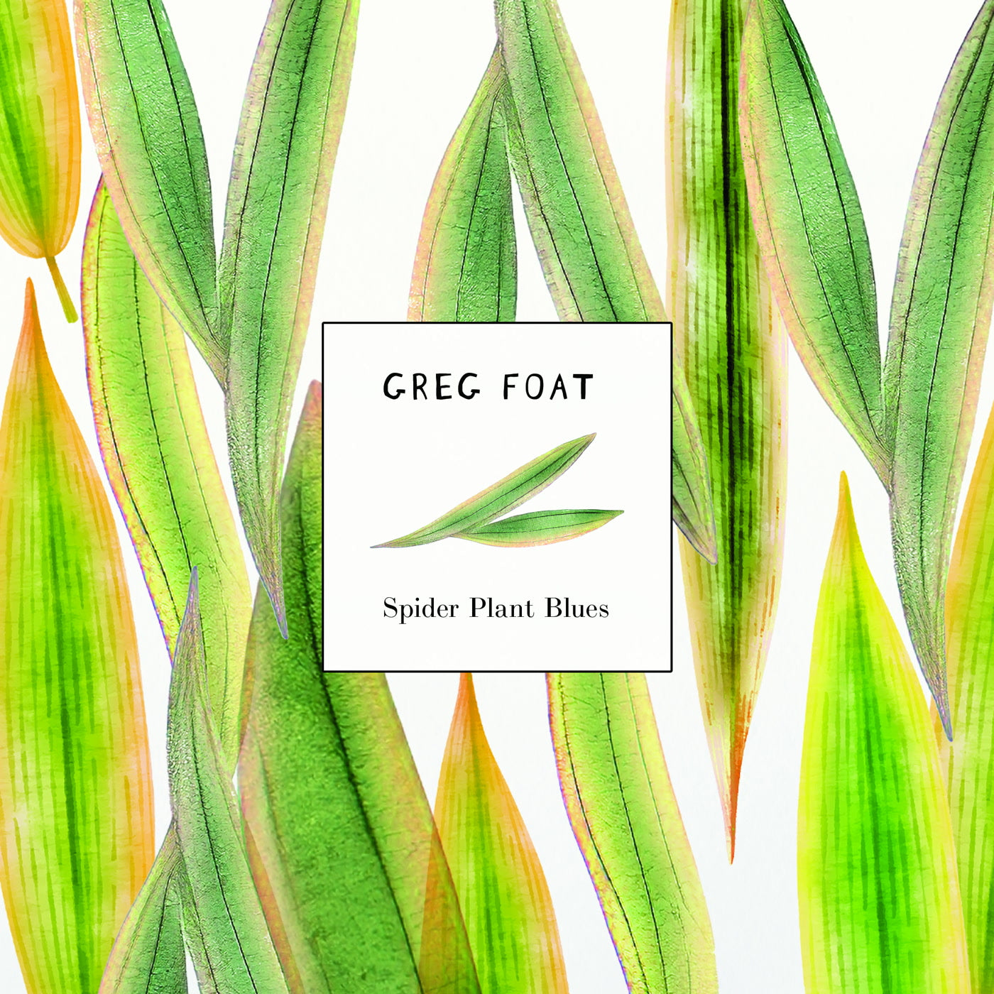 Greg Foat - Spider Plant Blues (7")