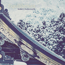 Bvdub & Netherworld - Equilibrium (CD)