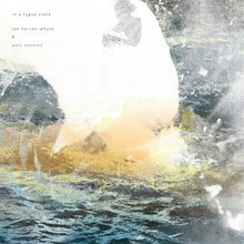 Joe Harvey-Whyte & Paul Cousins - in a fugue state (LP)