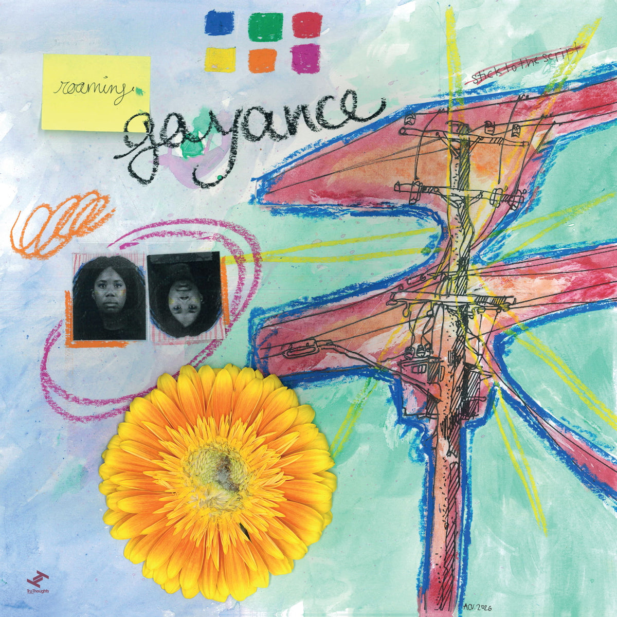 Gayance - roaming (LP)