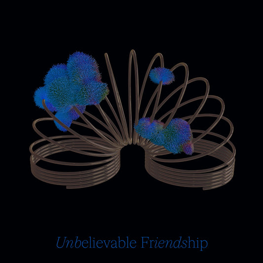 Filip Misek - Unbelievable Friendship (LP)