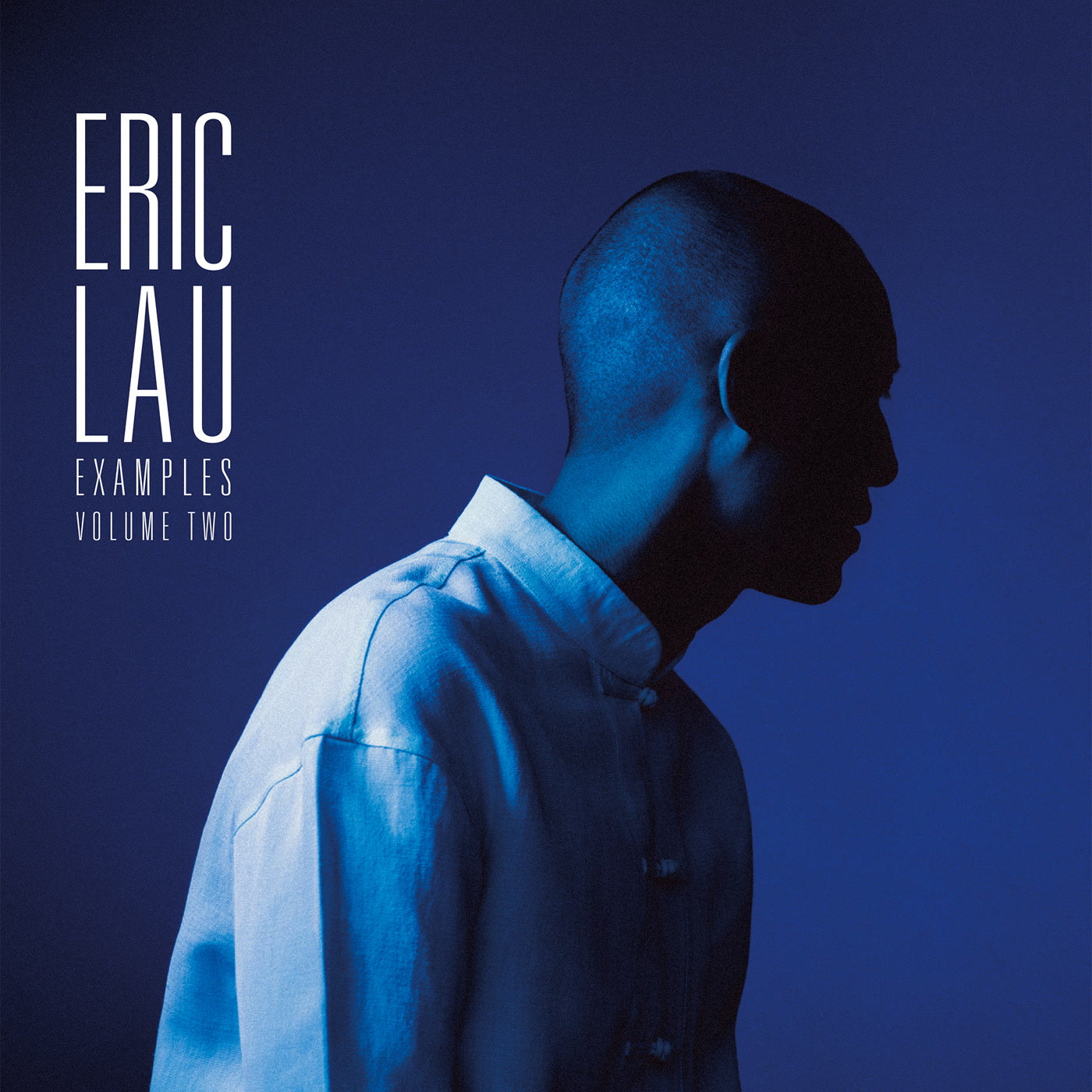 Eric Lau - Examples, Vol. 2 (LP)
