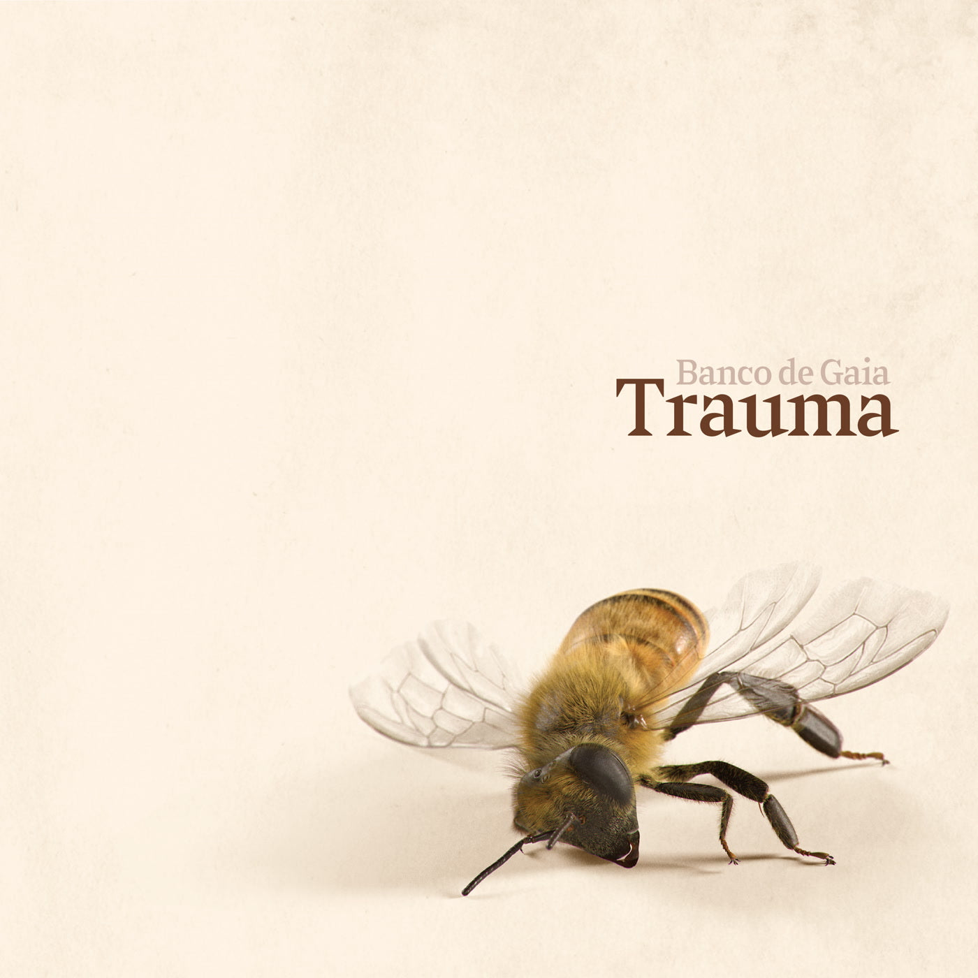 Banco de Gaia - Trauma (LP)