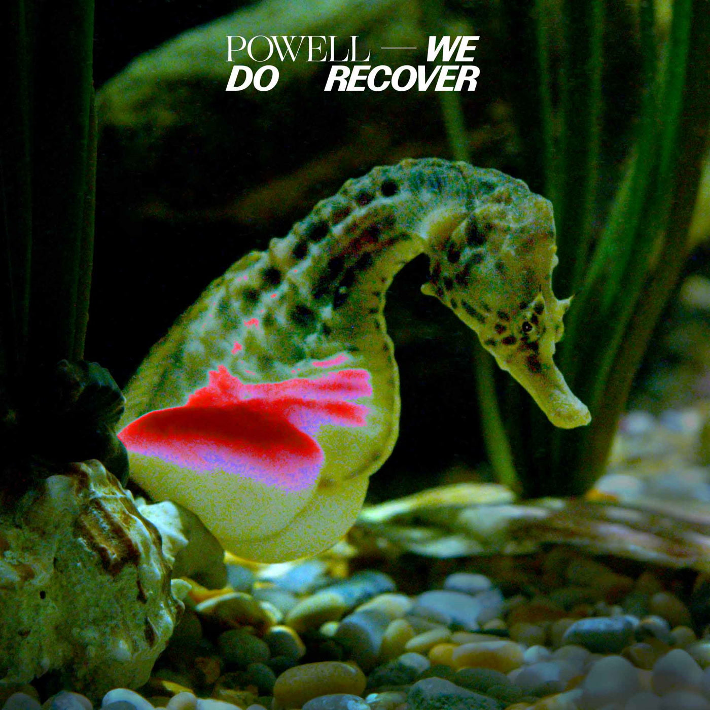 Powell - We Do Recover (LP)